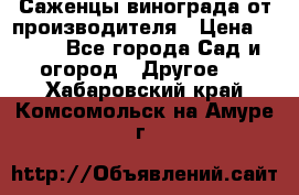 Саженцы винограда от производителя › Цена ­ 800 - Все города Сад и огород » Другое   . Хабаровский край,Комсомольск-на-Амуре г.
